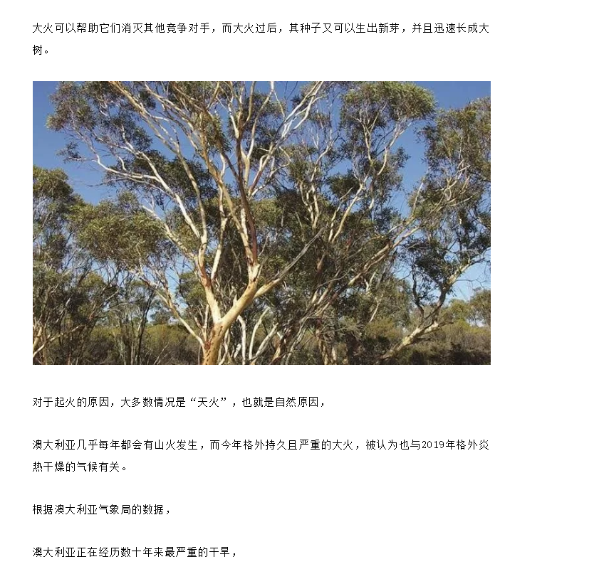 【博澳-澳大利亚】澳洲还能去吗？各州山火情况最新播报(图11)
