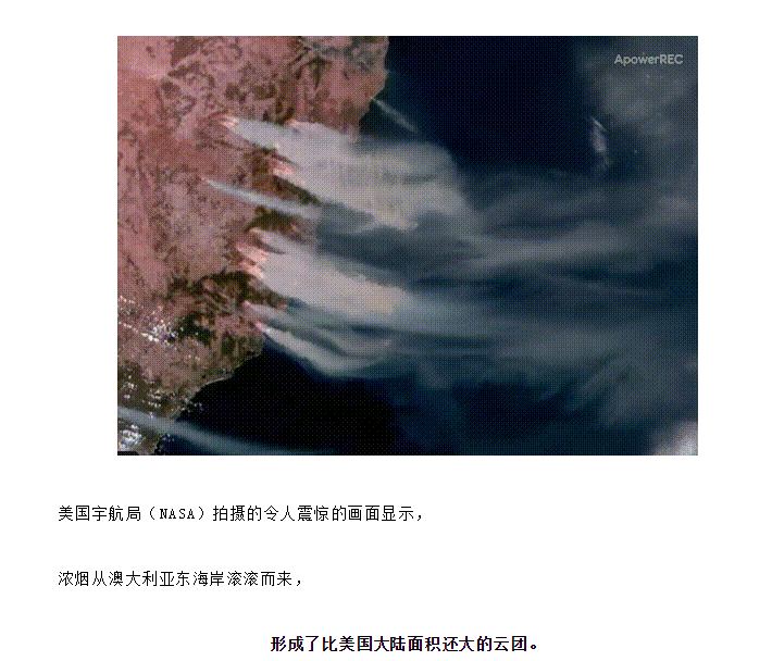【博澳-澳大利亚】澳洲还能去吗？各州山火情况最新播报(图8)