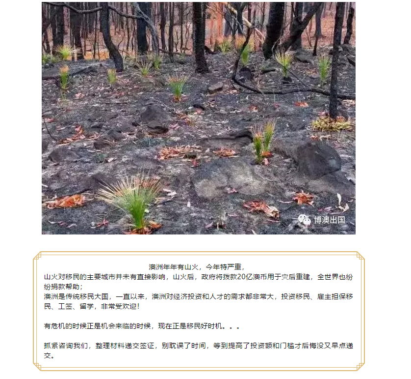 【博澳-澳大利亚】澳洲还能去吗？各州山火情况最新播报(图19)